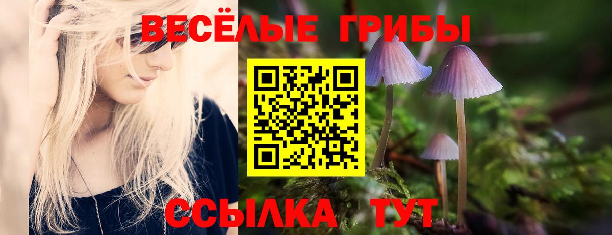 Псилоцибиновые грибы мухоморы Анапа